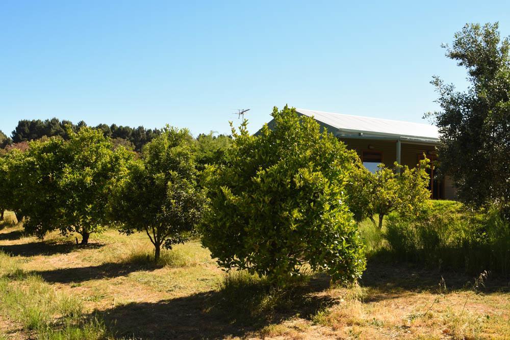 Swan Valley Sisters Henley Brook Exterior photo