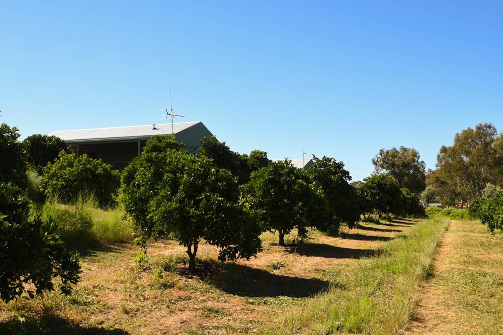 Swan Valley Sisters Henley Brook Exterior photo